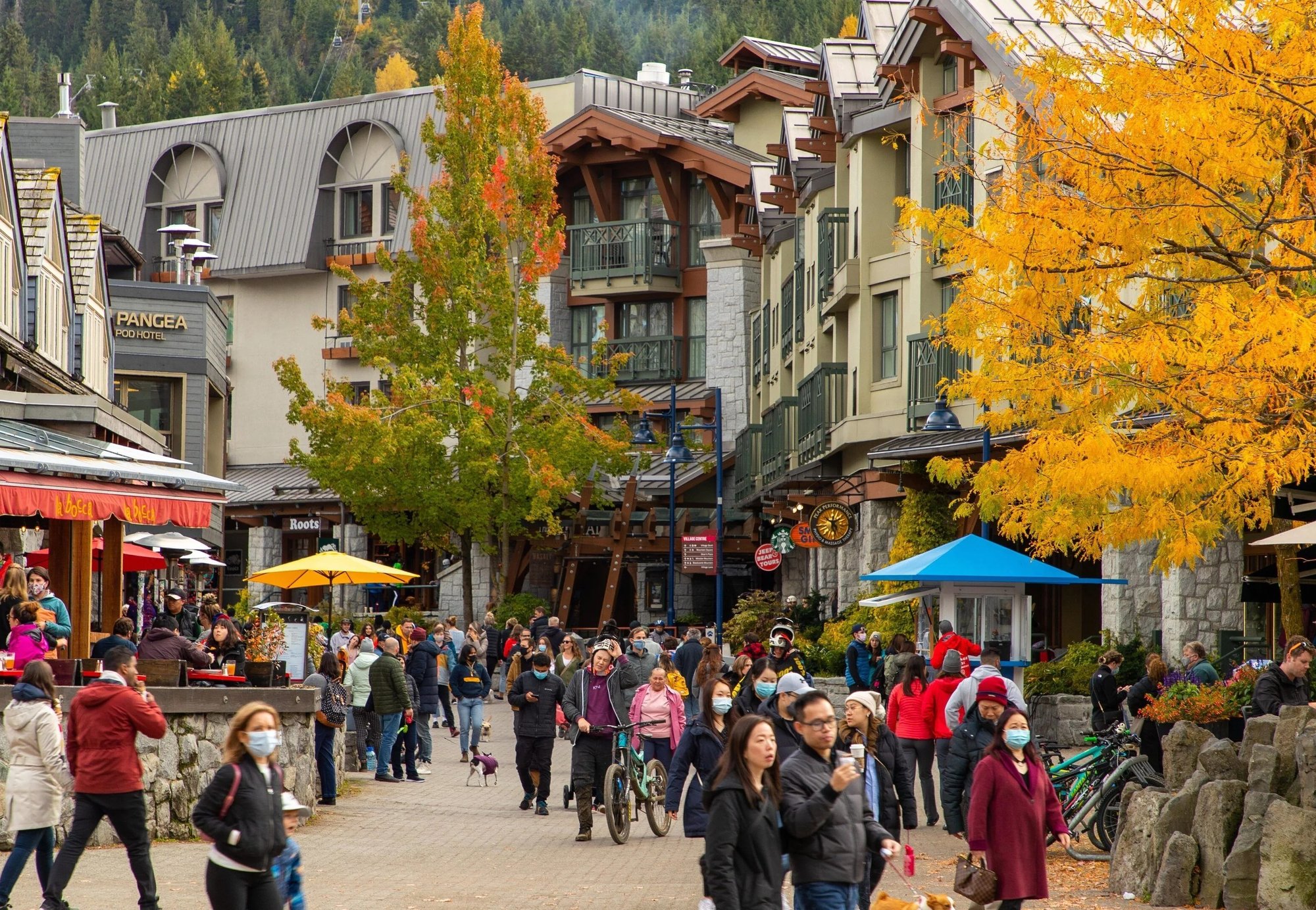 46f35a93-4187-4299-860b-d89a8c8042e5 copy